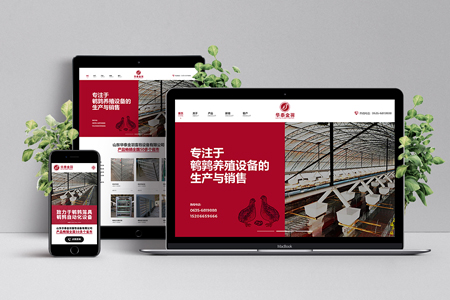 網(wǎng)站建設公司：會影響用戶的感受細節(jié)有哪些？