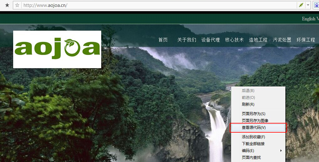 網站源碼